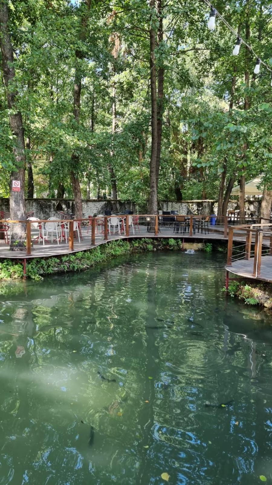 Pensiunea Pink House Runcu Hotel Runcu  Kültér fotó