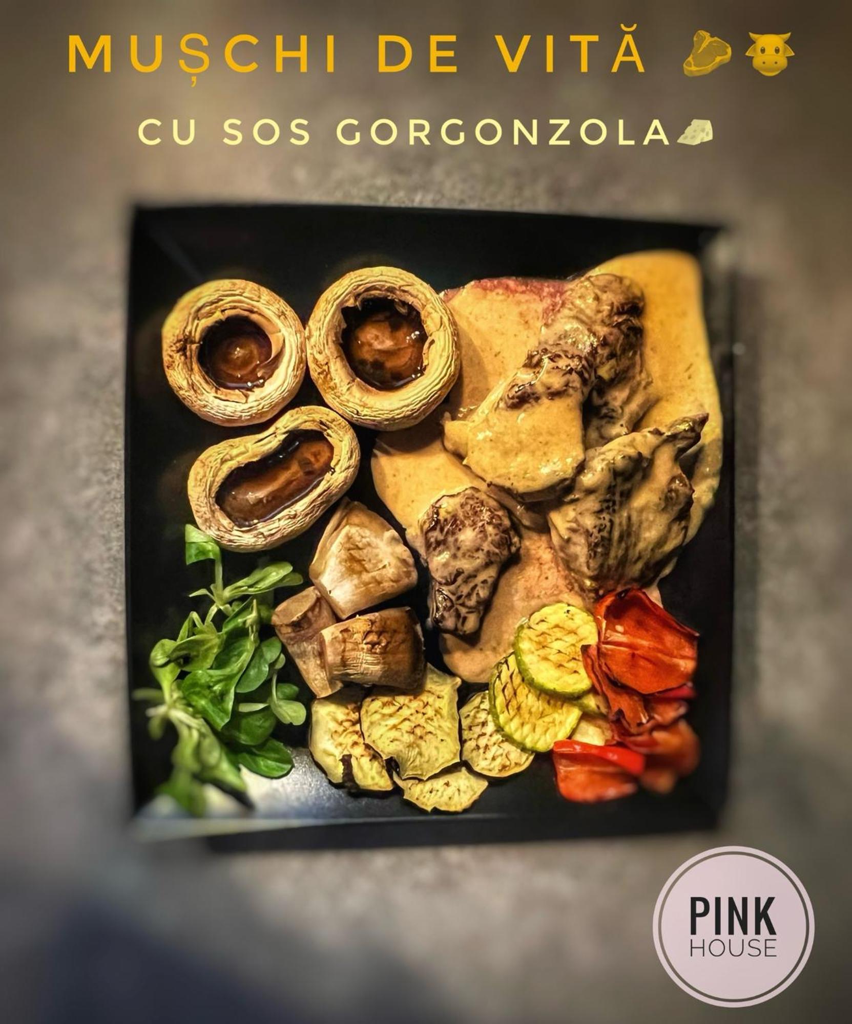 Pensiunea Pink House Runcu Hotel Runcu  Kültér fotó
